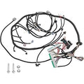 LM7 Delphi PCM LS-swap wiring harness with connectors and mounting hardware